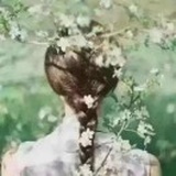 已注销