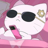 kittyDiary
