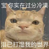 丁叮叮