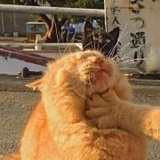 Mao