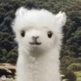 ꧁꫞꯭小妖꫞꧂