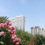 小时代