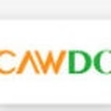 CAWDO创非洲
