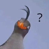 谷落落落落