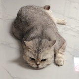 包小包