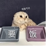 哎哟小伙儿