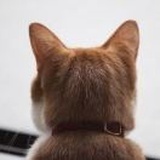 九、十月看电影