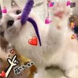 该起什么名