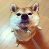 重生