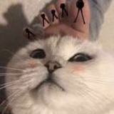 小黄鸭呀呀呀