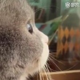 诗中浅语