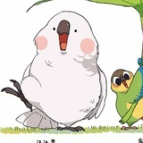 汤汤