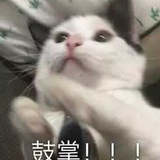 金木究