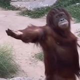 一遇风云便化龙