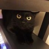 田七╮(╯▽╰)╭