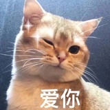 买椟还珠格格巫