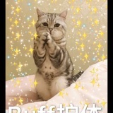 和尼