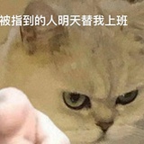 我就豆友