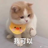 吐槽高能君