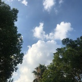 不倒翁非翁