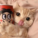 猫女王