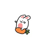 一只懒兔
