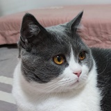 1生执着