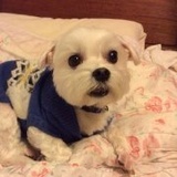 靖彤sofi_156_42