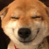 嘟嘟嘟