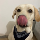 串串