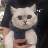 唯你一人