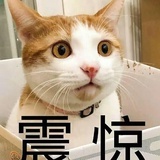 ナウシカ