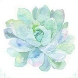 树读可知否