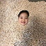 小鹿不是小陆