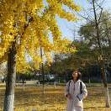 翡冷翠