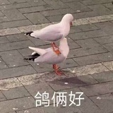 害挺牛