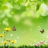 浅然