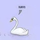 只是一个头