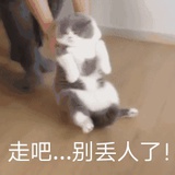 煎饼果子