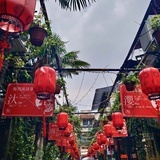 爱吃青菜的兔子