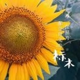 Shandy🌀🔆☁️