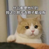 噼里啪啦