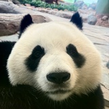 发发发发发发发