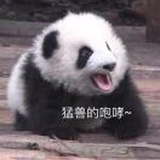 Yuanyuan_