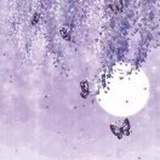 苏音