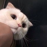 Salt