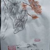 别样红2002