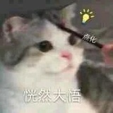 麻烦加超多香菜