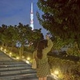 瓜子🌸✨✨