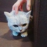MTXFX